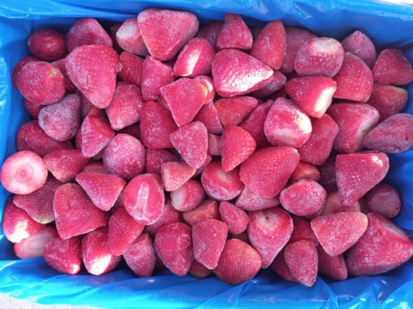 why Egypt is the perfect frozen strawberry supplier?