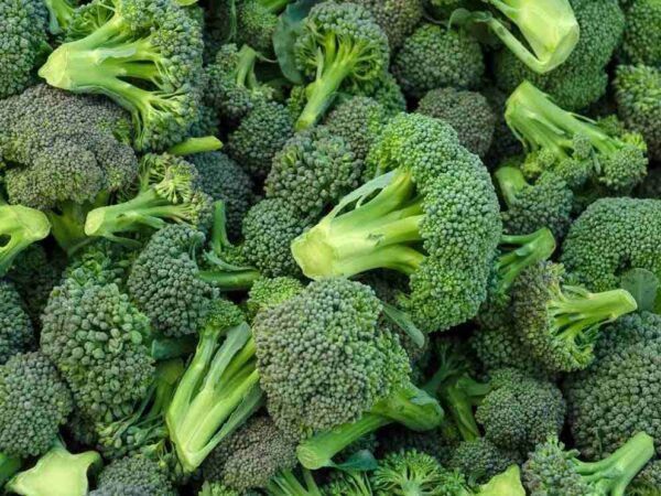 What Are the Top Frozen Broccoli Benefits for Your Health?