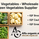 IQF vegetables, wholesale frozen vegetables supplier