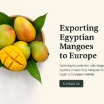 Exporting Mangoes from Egypt to Europe: A Complete Guide for 2025