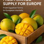 fresh mango shipment Egypt to Europe