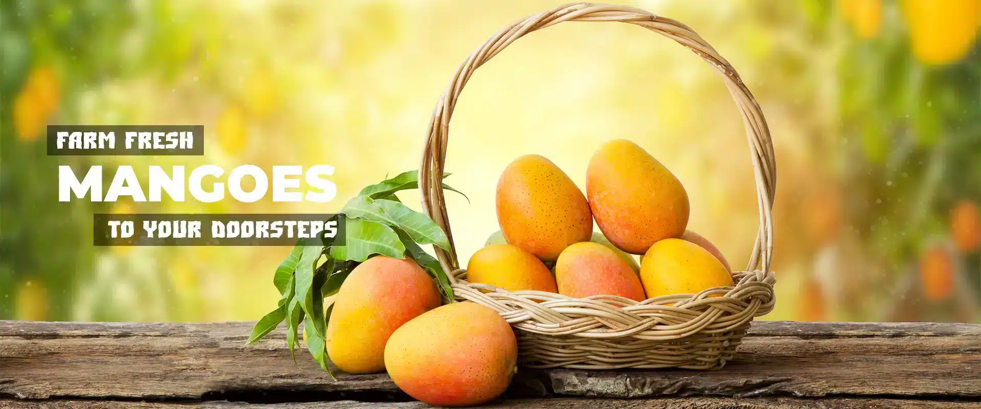 IQF Mango Chunks - Frozen Mango Chunks Supplier