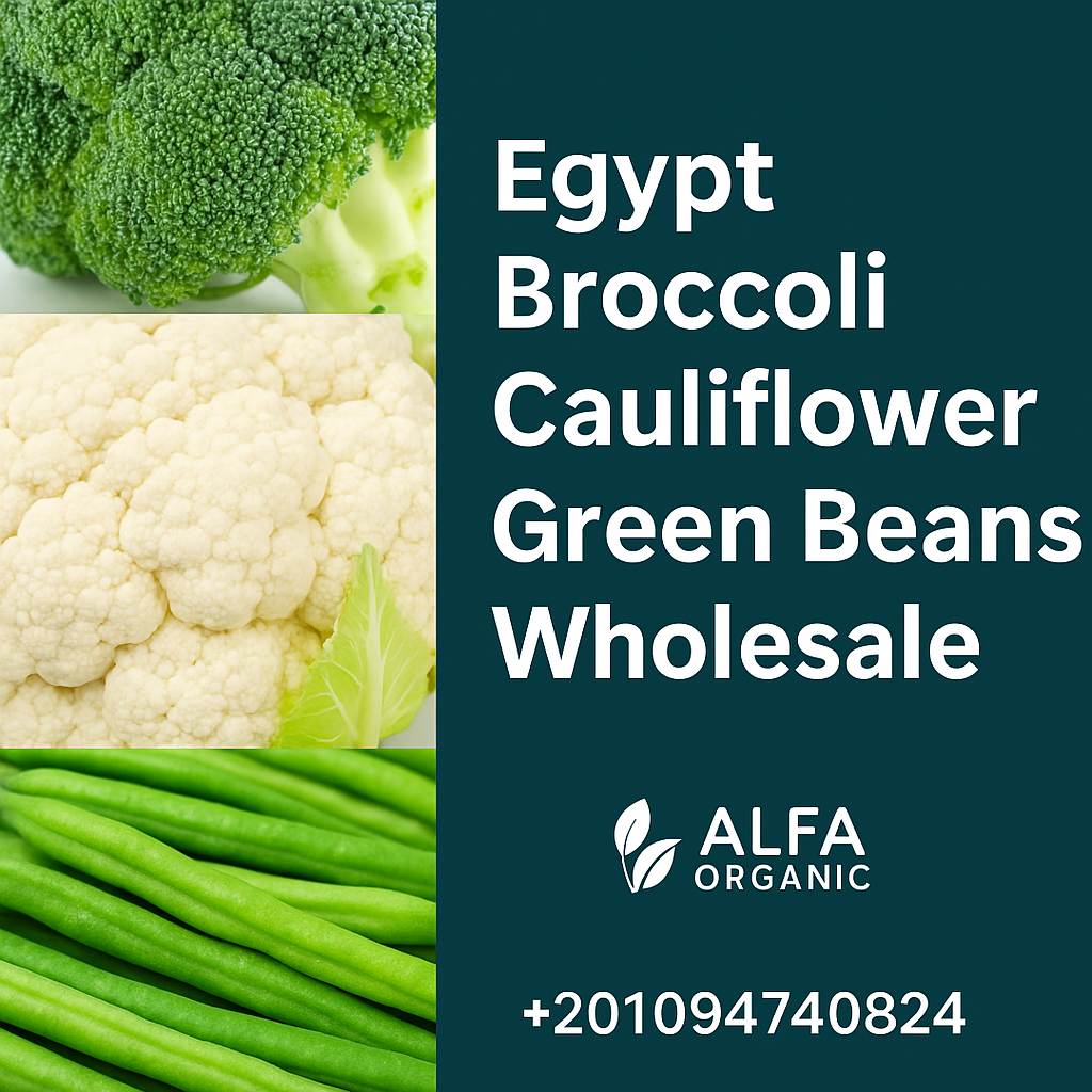 buy IQF broccoli Egypt