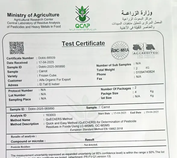 Test Certificate