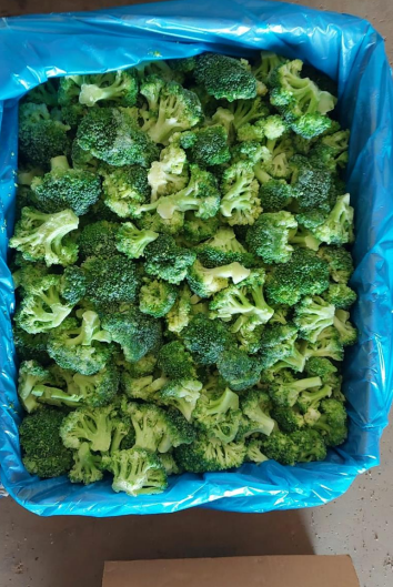 IQF FROZEN BROCCOLI – NATURALLY GROWN, PROFESSIONALLY PACKED