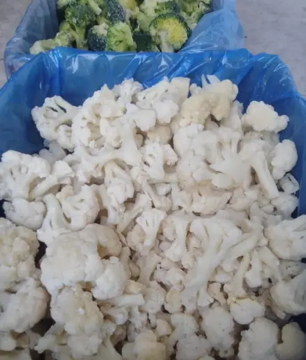 Product Highlights – IQF Cauliflower