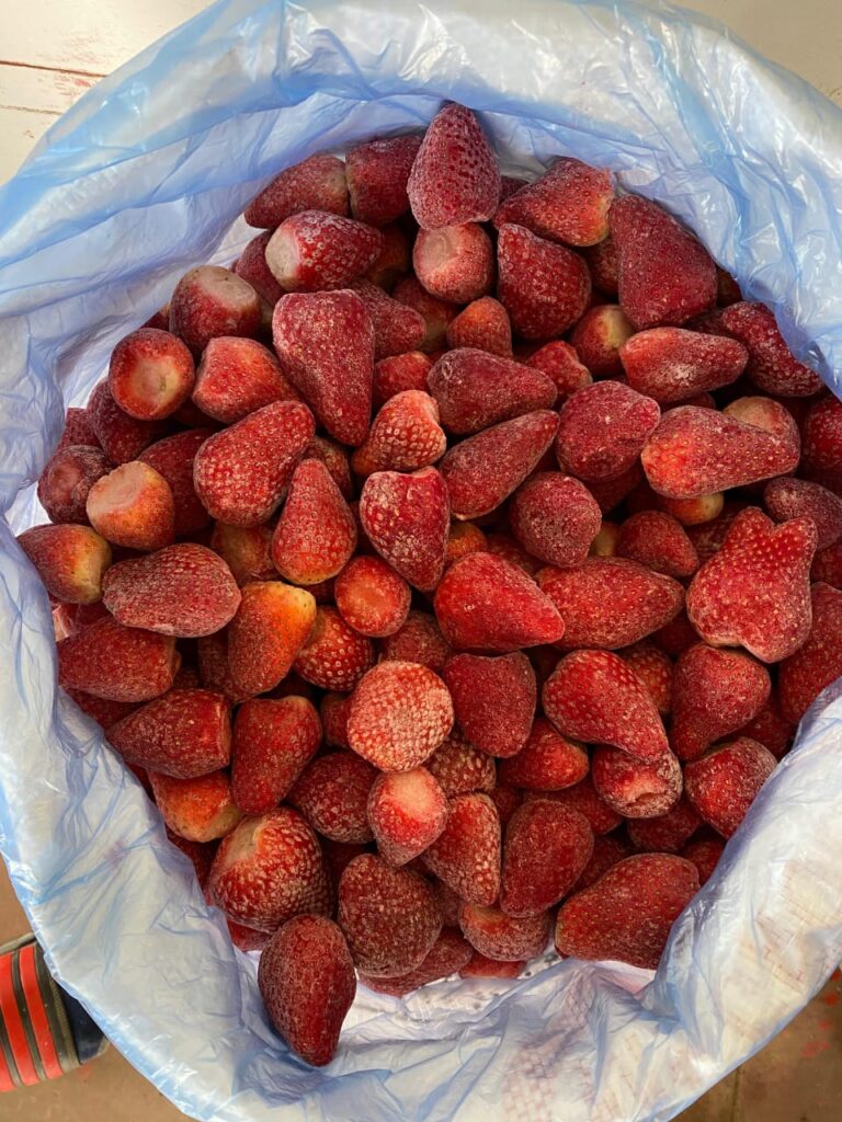 IQF frozen strawberries Egypt