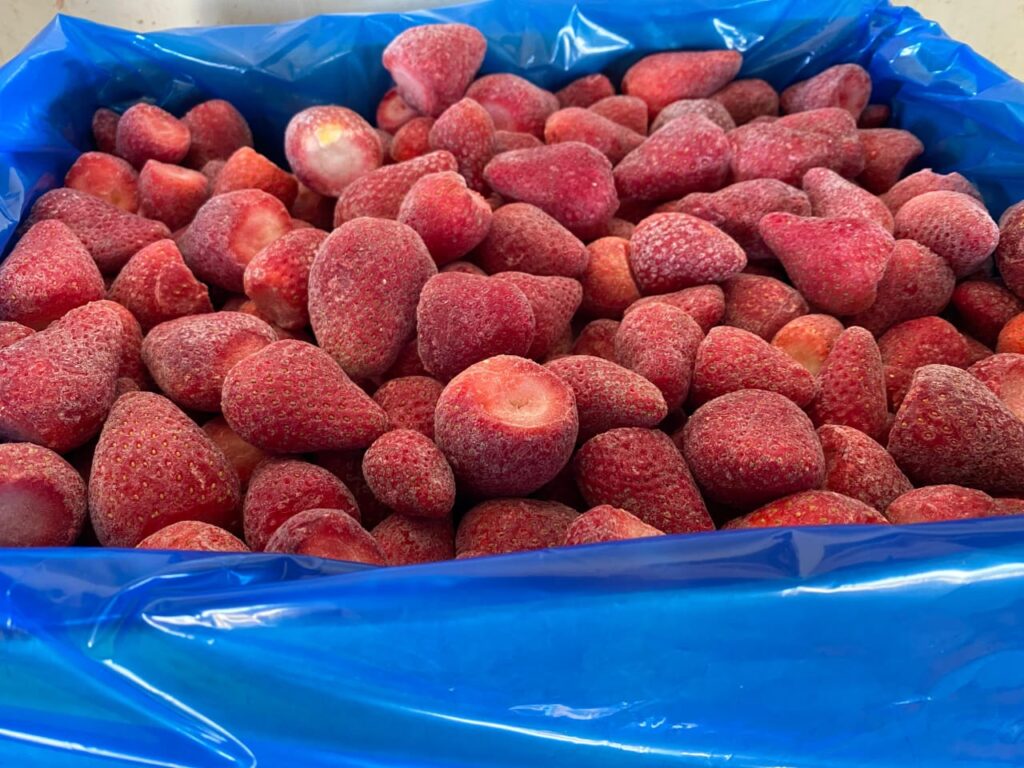 IQF frozen strawberries Egypt