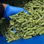 Egypt IQF vegetable exporter