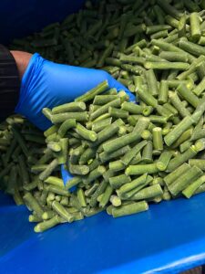 Egypt IQF vegetable exporter