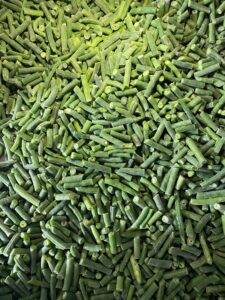 wholesale vegetable supplier Egypt