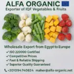 frozen vegetables exporter Egypt