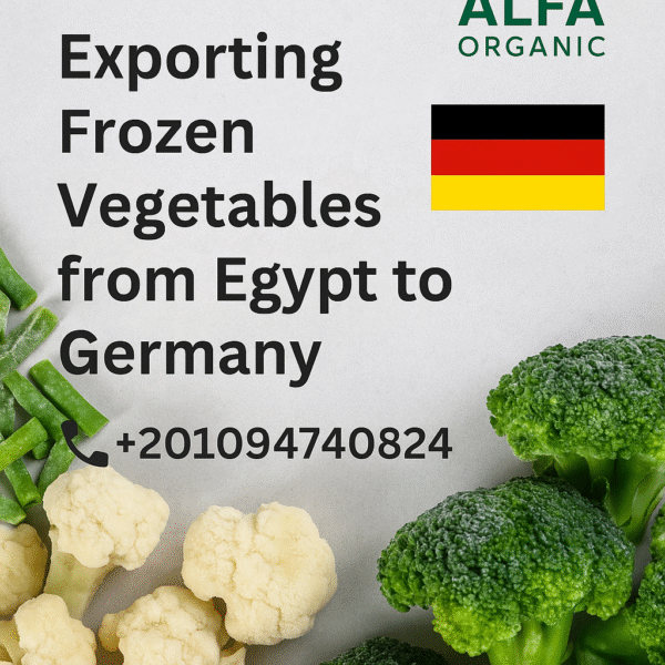 Exporting Frozen Vegetables from Egypt to Germany: Quality, Certification, and Reliable Supply