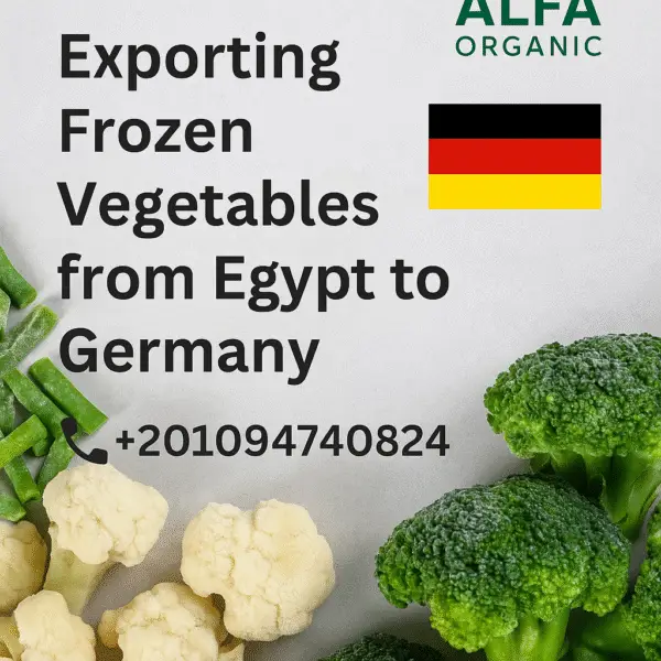frozen vegetables Germany
