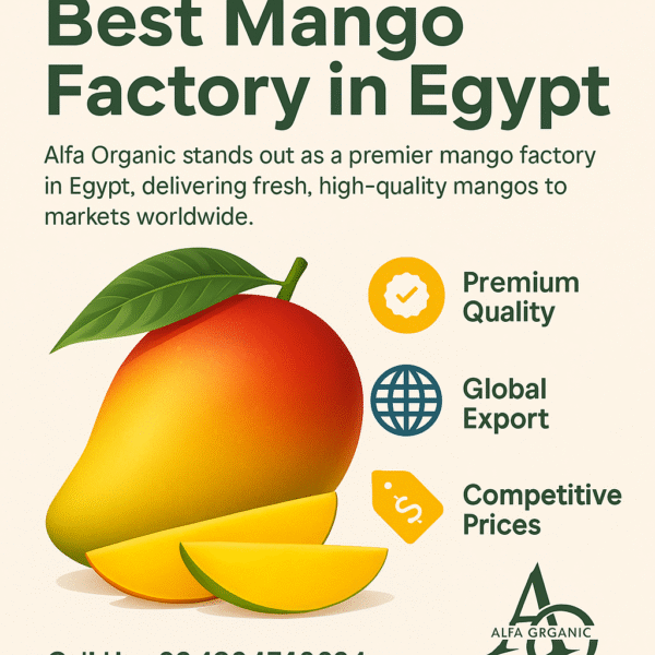 Frozen Mango Exporter to Europe | Premium IQF Mango Supplier from Egypt – Alfa Organic