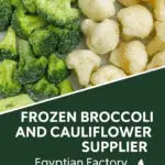 Frozen Broccoli and Cauliflower Supplier