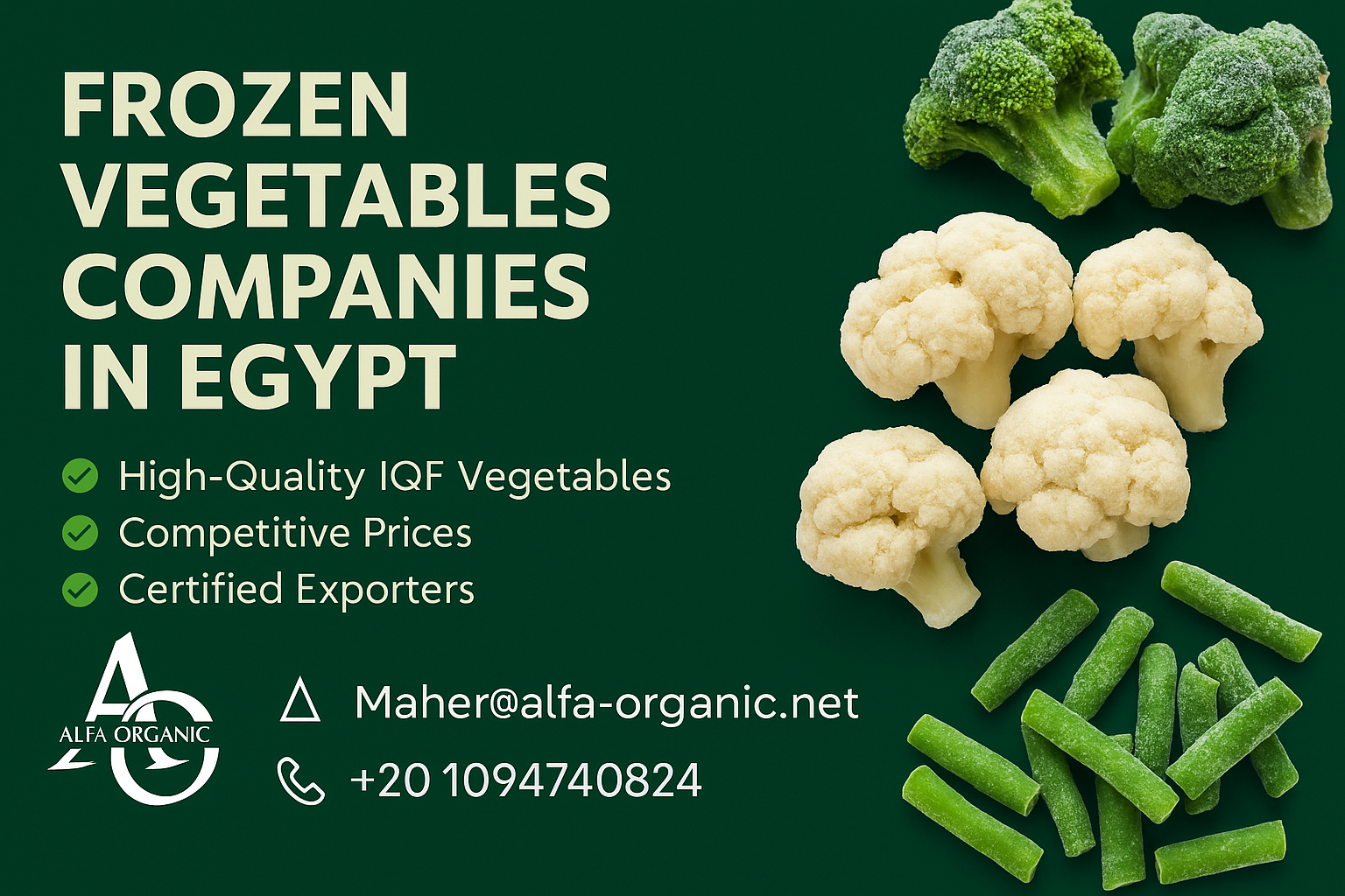 Frozen Vegetables Companies in Egypt IQF Exporter Wholesale Supplier