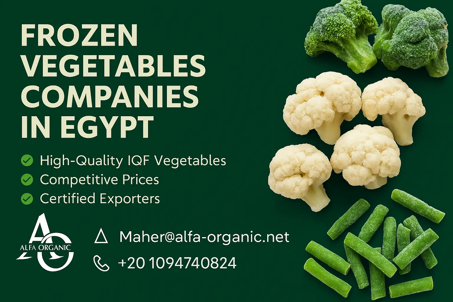 Frozen Vegetables Companies in Egypt IQF Exporter Wholesale Supplier