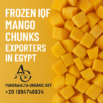 IQF Mango Chunks Supplier in Egypt Wholesale Frozen Mango Exporter