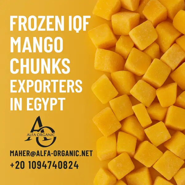 Frozen IQF Mango Chunks Exporters in Egypt | IQF Wholesale Supplier