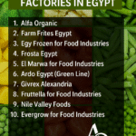 Top 10 Frozen Food Factories in Egypt Best Exporters Suppliers