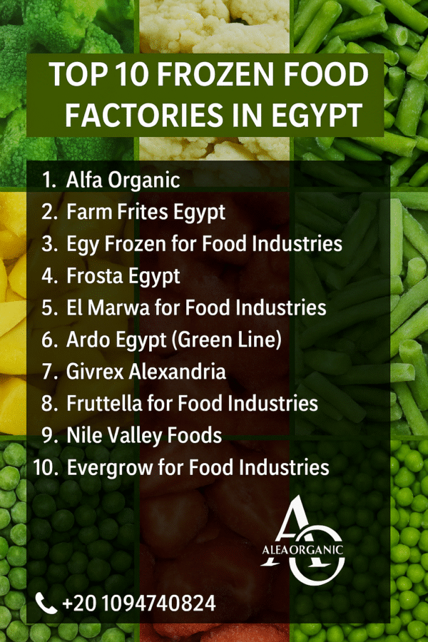 Top 10 Frozen Food Factories in Egypt Best Exporters Suppliers