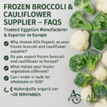 frozen broccoli cauliflower supplier