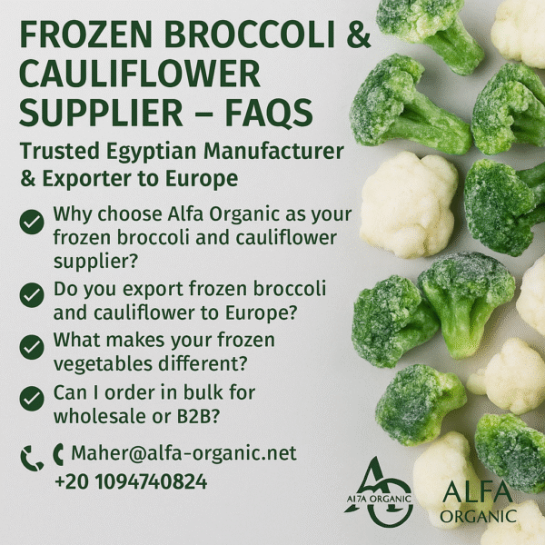 🥦❄️ Frozen Broccoli & Cauliflower Supplier – FAQs