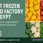 frozen food factory Egypt