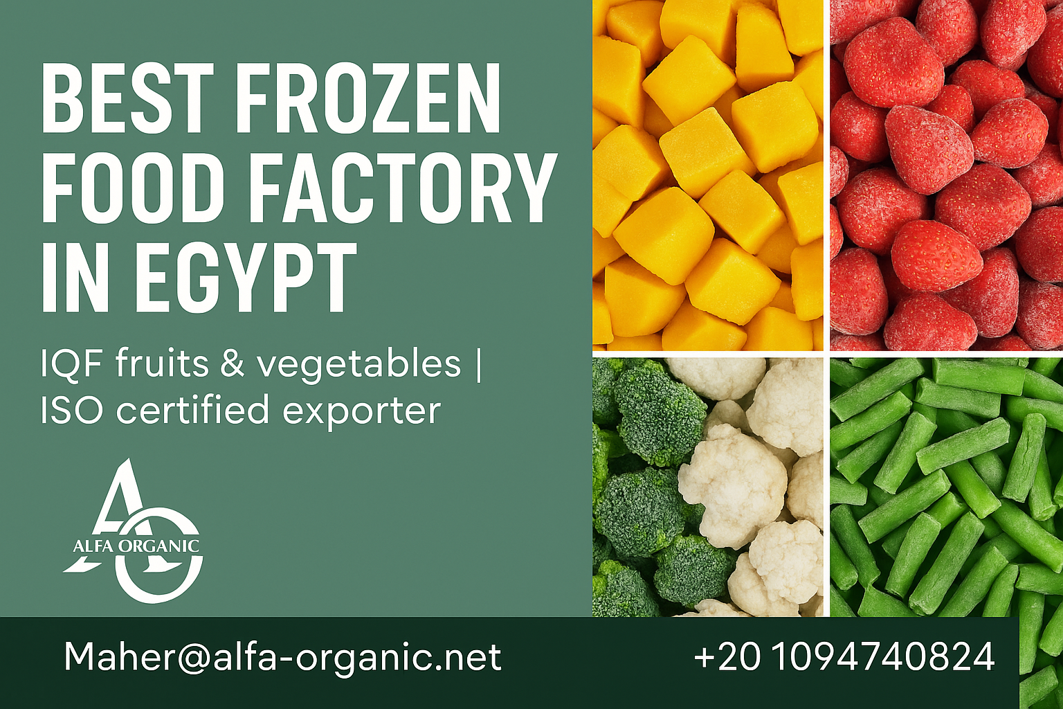 Best Frozen Food Factory in Egypt – Alfa Organic