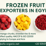 frozen fruit exporters in Egypt