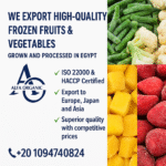 frozen vegetable supplier Egypt