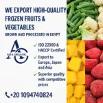 frozen vegetable supplier Egypt