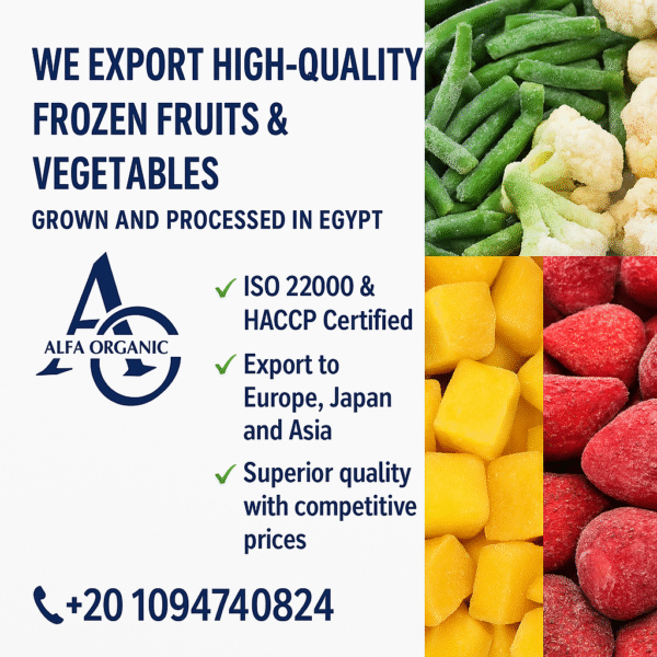 frozen vegetable supplier Egypt