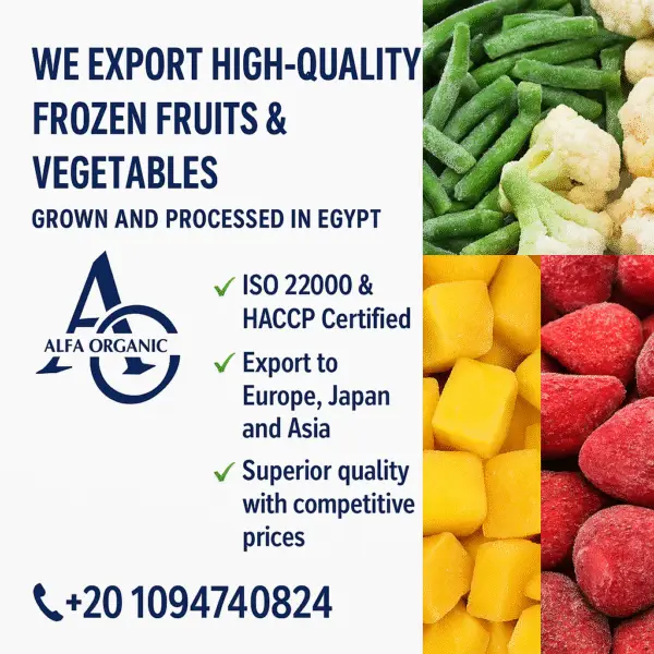 frozen vegetable supplier Egypt