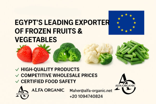 Alfa Organic: The Leading Egyptian Company for Exporting Frozen Fruits and Vegetables