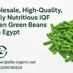 wholesale frozen green beans Egypt