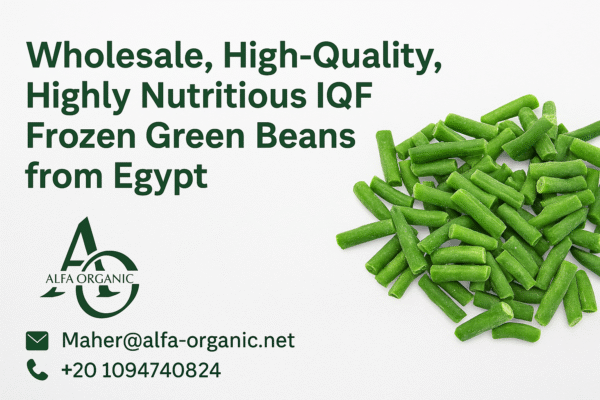 wholesale frozen green beans Egypt