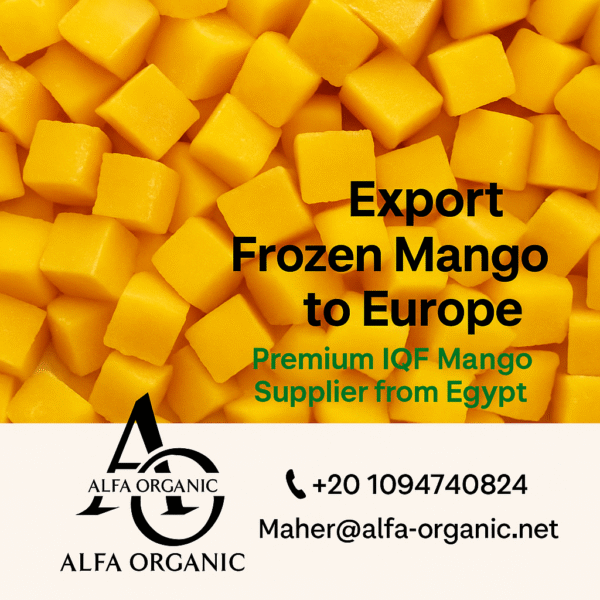 Export Frozen Mango to Europe – Premium Quality from Egypt