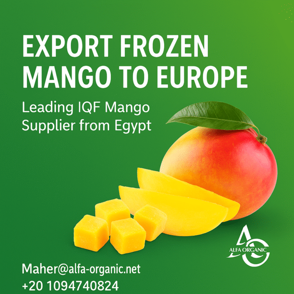 Export Frozen Mango to Europe – Leading IQF Mango Supplier from Egypt