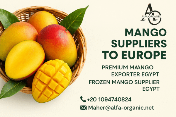 Premium Mango Exporter Egypt | Alfa Organic Frozen Mango Supplier
