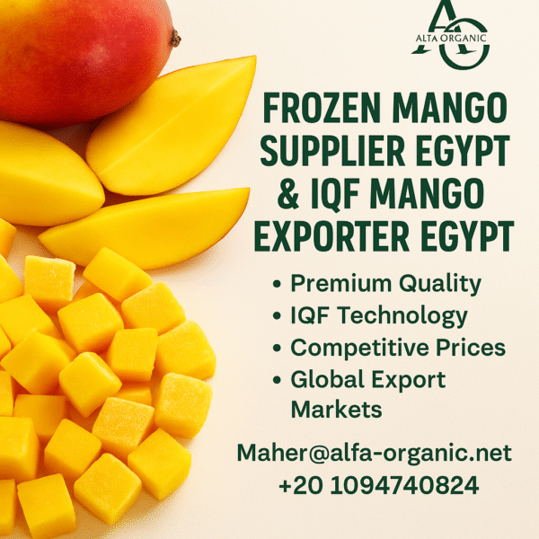 Premium Mango Exporter Egypt | Alfa Organic