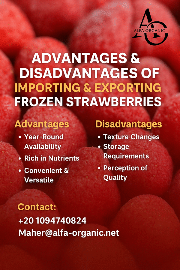 🍓 Advantages and Disadvantages of Importing & Exporting Frozen Strawberries