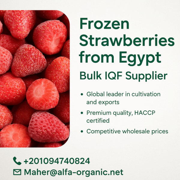 🍓 Frozen Strawberries from Egypt – Bulk IQF Supplier