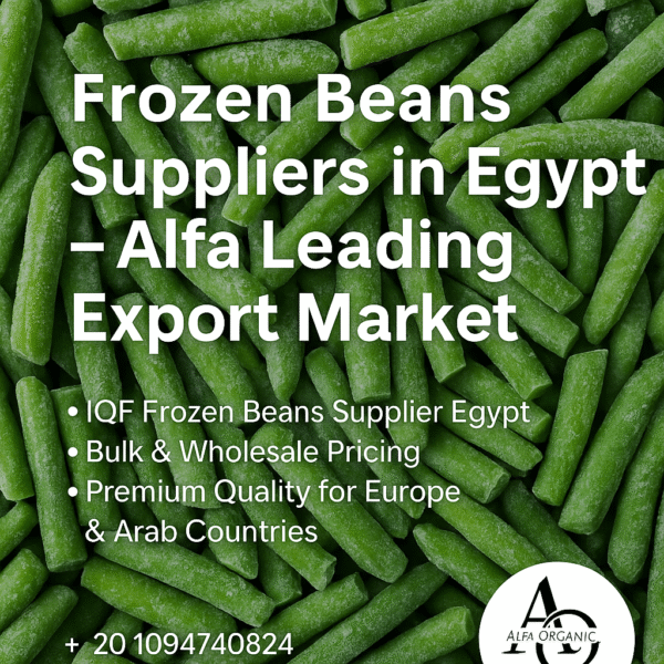 Expanding the Role of Frozen Beans Suppliers in Egypt