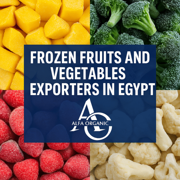 Frozen Fruits and Vegetables Exporters in Egypt – Why Alfa Leads the Market