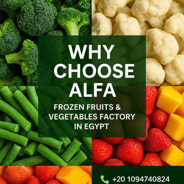 🌍 Why Choose Alfa – The Leading Frozen Fruits and Vegetables Factory in Egypt