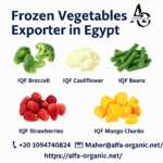 Frozen Vegetables Exporter in Egypt
