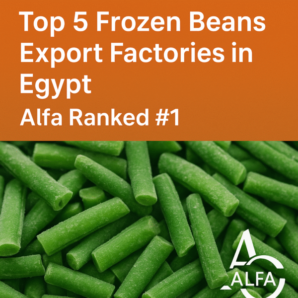 Top 5 Frozen Beans Export Factories in Egypt Alfa No.1 Supplier
