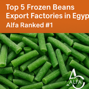 Top 5 Frozen Beans Export Factories in Egypt Alfa No.1 Supplier